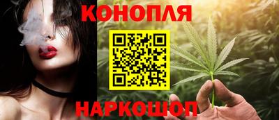 Альфа ПВП Аргун